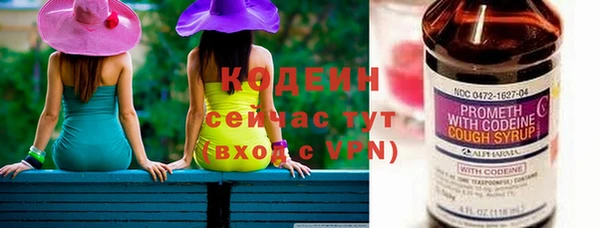 ГАЛЛЮЦИНОГЕННЫЕ ГРИБЫ Гусев