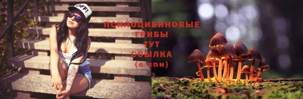 ГАЛЛЮЦИНОГЕННЫЕ ГРИБЫ Гусев