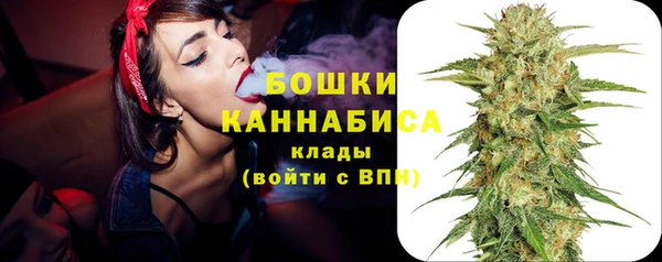 трава Гусиноозёрск
