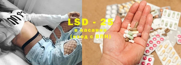 ГАЛЛЮЦИНОГЕННЫЕ ГРИБЫ Гусев
