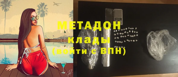 амф Гусь-Хрустальный