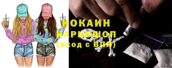 трава Гусиноозёрск