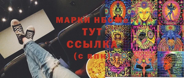 амф Гусь-Хрустальный