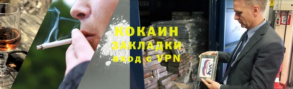 ГАЛЛЮЦИНОГЕННЫЕ ГРИБЫ Гусев