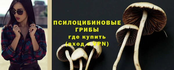трава Гусиноозёрск