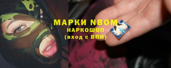 амф Гусь-Хрустальный