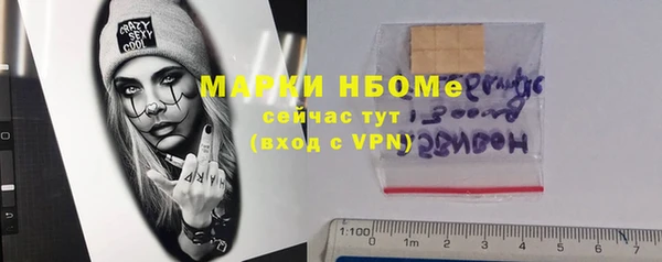 трава Гусиноозёрск