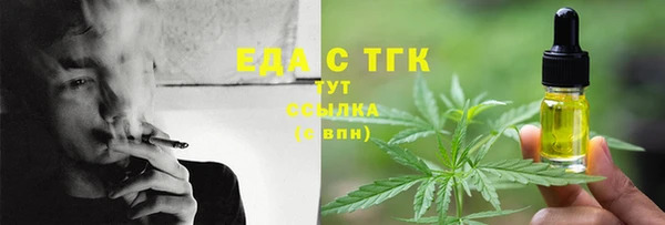 ГАЛЛЮЦИНОГЕННЫЕ ГРИБЫ Гусев