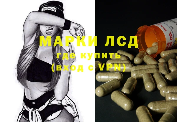 амф Гусь-Хрустальный