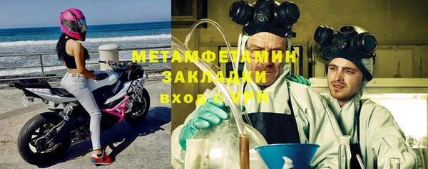 ГАЛЛЮЦИНОГЕННЫЕ ГРИБЫ Гусев