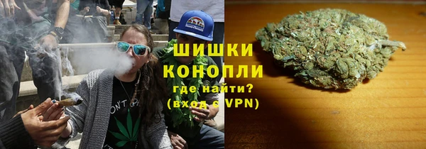 трава Гусиноозёрск