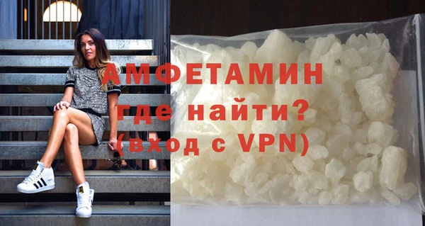 ГАЛЛЮЦИНОГЕННЫЕ ГРИБЫ Гусев