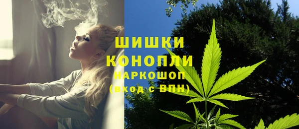амф Гусь-Хрустальный