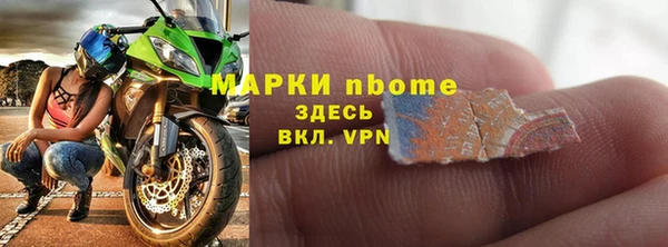амф Гусь-Хрустальный