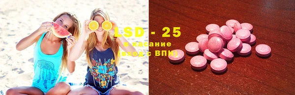 трава Гусиноозёрск