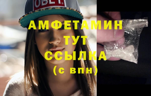 трава Гусиноозёрск