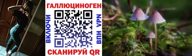 Псилоцибиновые грибы GOLDEN TEACHER  Юрьев-Польский 